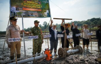 Dari Sei Kayu, Kapuas Kejar Swasembada Pangan dengan Gerakan Tanam Serempak
