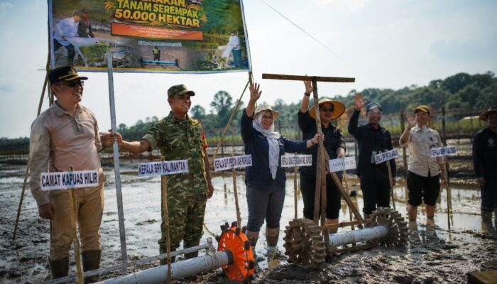 Dari Sei Kayu, Kapuas Kejar Swasembada Pangan dengan Gerakan Tanam Serempak