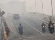 Kabut Asap Belum Mereda, DPRD Palangka Raya Dorong PJJ Diperpanjang