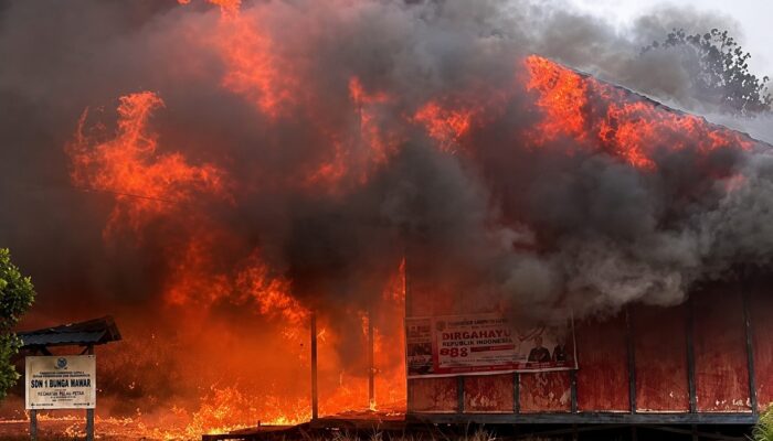 SDN 1 Bunga Mawar Kapuas Terbakar, Penyebab Masih Diselidiki