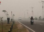 Udara Palangka Raya Masuk Kategori Beracun