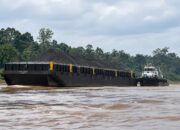 Sungai Barito Surut, Pengiriman Batu Bara Kalteng Terganggu