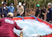 Karhutla Gambut Sulit Dipadamkan, UPR Uji Metode Busa Sabun