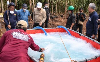 Karhutla Gambut Sulit Dipadamkan, UPR Uji Metode Busa Sabun