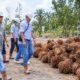 Industri Sawit Dipantau, Barut Siapkan Data untuk Kebijakan Perdagangan