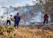 Karhutla dan Kekeringan Tekan Akses Air Bersih di Seruyan
