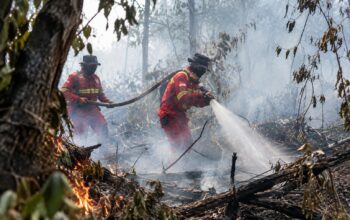 Api Merambat ke Arah Hutan, Tim Gabungan Padamkan Karhutla Barut