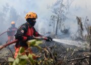 Ribuan Hektare Lahan di Kotawaringin Barat Terbakar