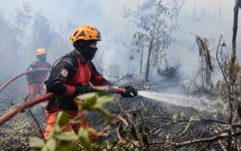 Ribuan Hektare Lahan di Kotawaringin Barat Terbakar