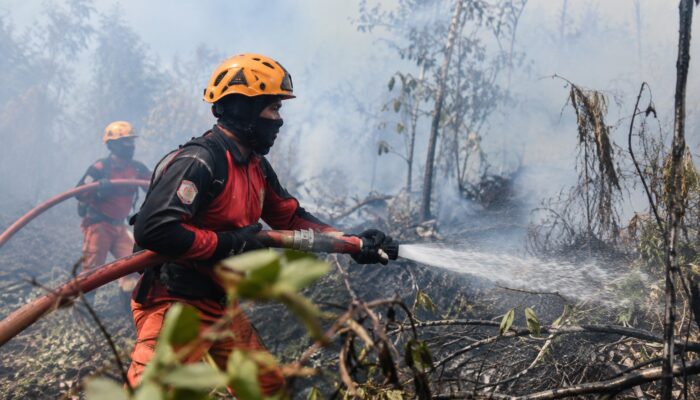Ribuan Hektare Lahan di Kotawaringin Barat Terbakar