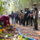 Satgas Orangutan Kalteng Diperkuat Hadapi Dampak Karhutla