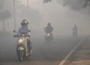 Kabut Asap Mengubah Aktivitas Harian Warga Kalteng