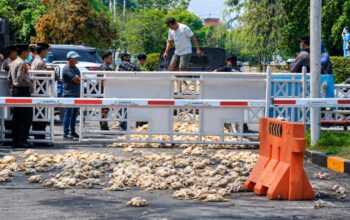 Bawa Bangkai Ayam ke Kantor PLN, Peternak Tuntut Kepastian Kompensasi