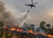 Water Bombing Karhutla Kobar Capai 574 Ribu Liter hingga 10 Oktober 2026